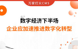 數(shù)字經(jīng)濟(jì)下半場，企業(yè)應(yīng)加速推進(jìn)數(shù)字化轉(zhuǎn)型