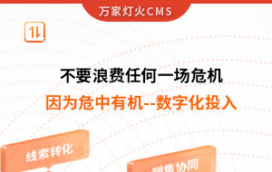 不要浪費任何一場危機，因為危中有機--數字化投入