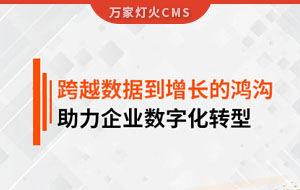 跨越數(shù)據(jù)到增長的鴻溝，助力企業(yè)數(shù)字化轉(zhuǎn)型